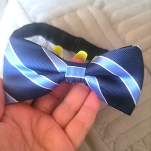 SPARROW BLUE STRIPED BOW TIE